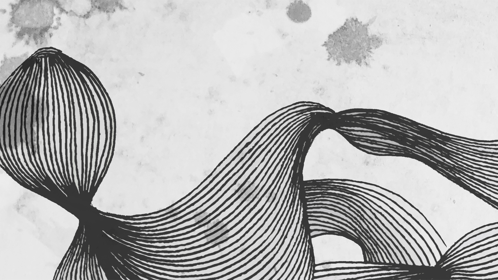 Assembly 3 art work by Elliat Rich swirling black and white interlocking pattern close up.jpg