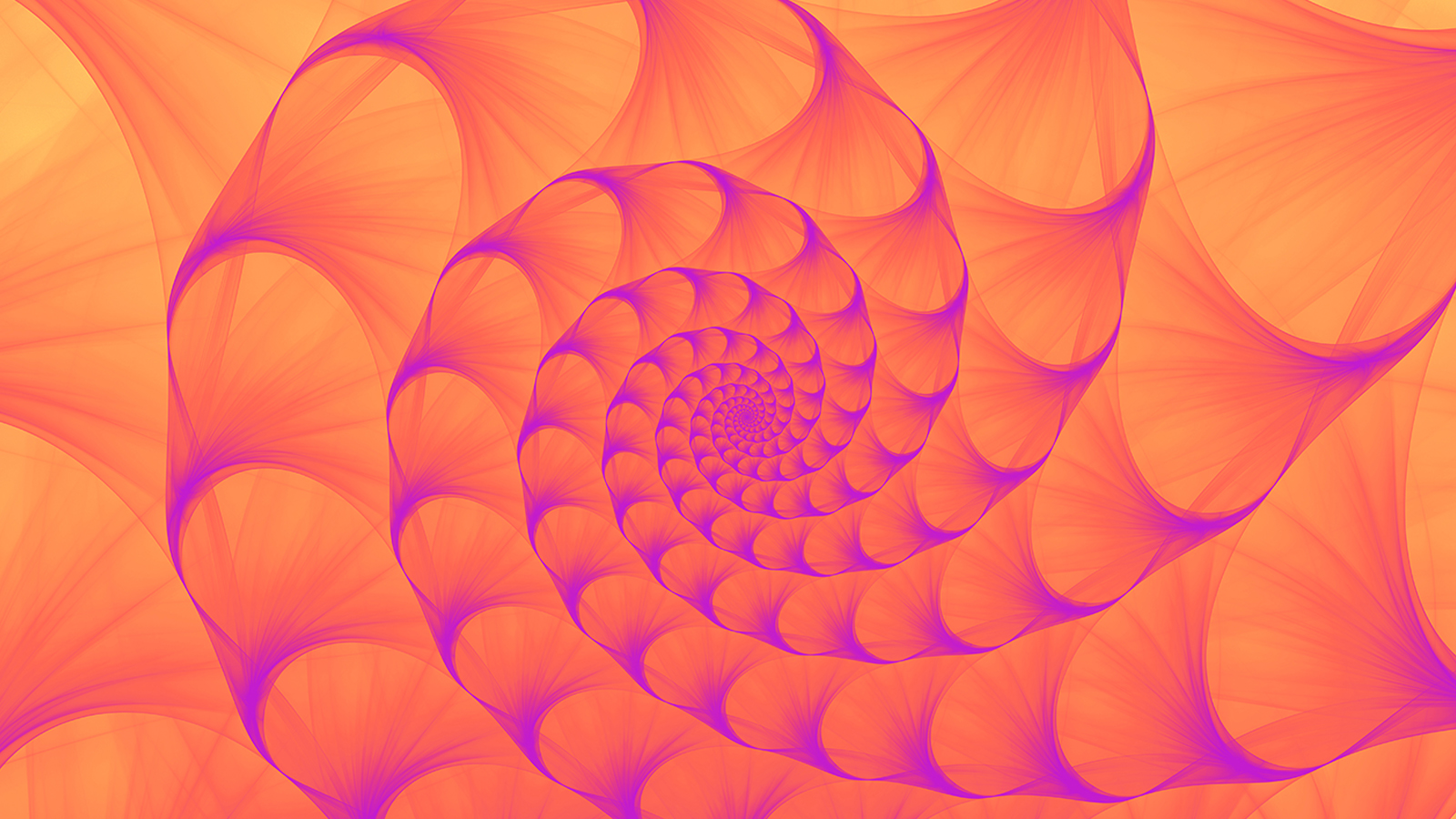 Image is a brightly coloured orange and pink closeup of a seashell, with a coiling pattern.