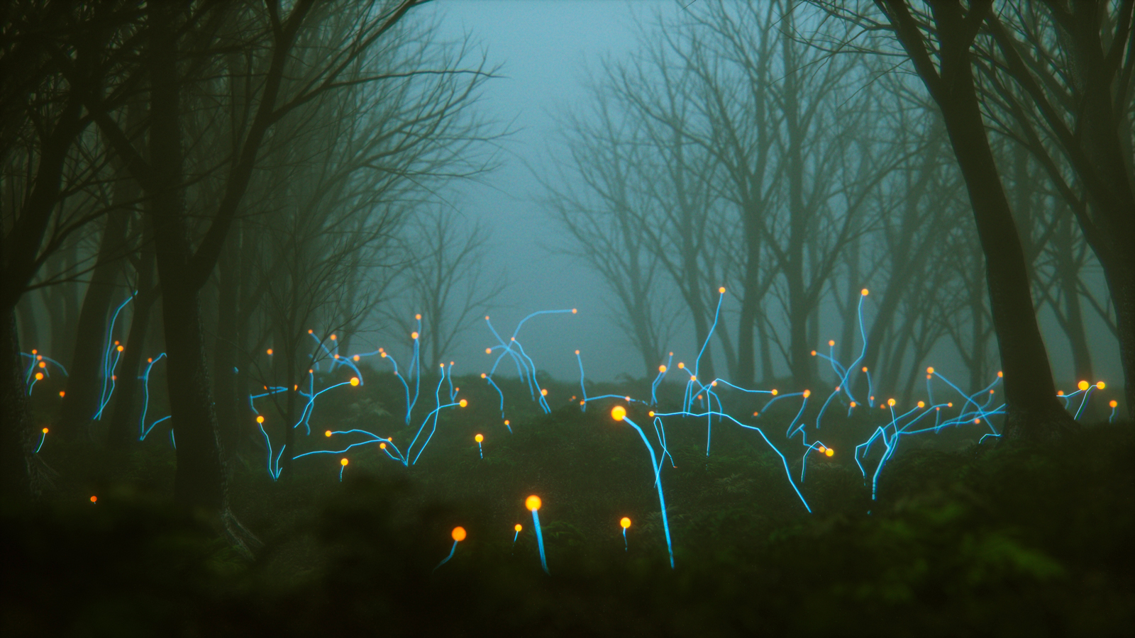 Image is a misty forrest with blue and yellow lights on tendrils