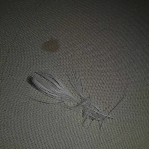Lo-fi image of a tangled white feather and single strand of hair on top of stained white linen.
