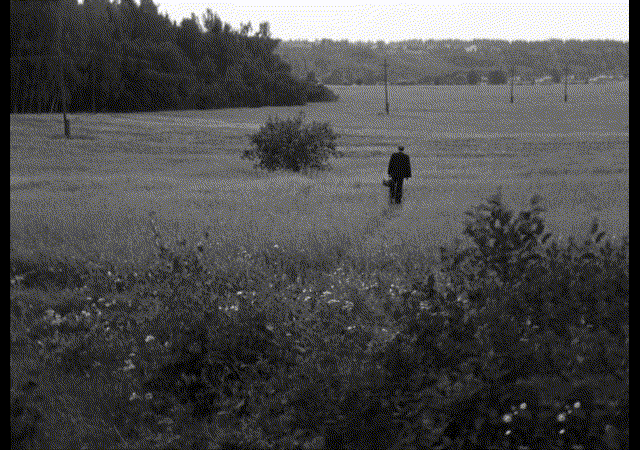 Static shot of a black and white moving image of a rural field. In the foreground of the image is some bushy shrubs which then continue onto a tall grassy field in which a man stands wearing a suit and holding a briefcase with some power lines overhead. In the background of the image are some hills with trees atop. All of the trees, bushes and grass are blown one by one like a Mexican Wave towards the front of the time as they are touched by a gust of wind. An image of a blue and green wind map of the bottom half of Australia and its surrounding seas appears on top of the black and white image, showing the wind patterns around Australia.