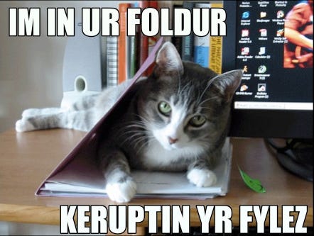 A grey and white cat with green eyes is lying inside an open folder on a desk, looking directly at the camera. The background shows a computer monitor with an unclear image on the screen and some items scattered around the desk. The image includes overlaid text in meme-style font that reads ‘IM IN UR FOLDUR KERUPTIN YR FILEZ'".